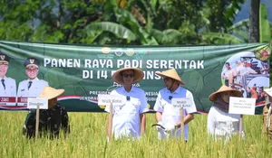 Panen Raya Nasional 2025, Kota Sukabumi Tegaskan Komitmen pada Ketahanan Pangan