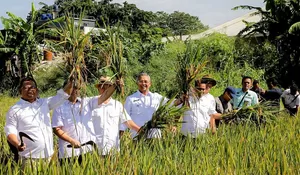 Melihat Panen Raya di Kota Bandung, Saat Lahan Pertanian Makin Terbatas di Kota Metropolitan