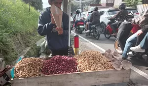 Jangan Patah Semangat! Lihat Nih, Pria di Puncak Bogor Ini Tetap Semangat Cari Rezeki dengan Jualan Kacang Mesti Tak Bisa Melihat