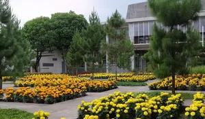 Tempat Wisata Healing yang Bisa Kamu Datangi saat Liburan di Berbagai Daerah