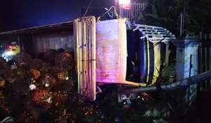 Rem Blong, Truk Sawit Kecelakaan di Puncak Bogor, Satu Orang Jadi Korban