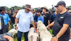 Kontes Domba di Pakansari, Rudy susmanto: Peternakan Domba Kita Akan Lebih Maju dari Garut