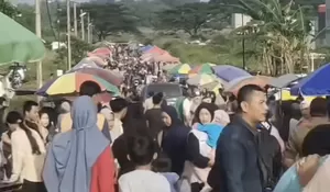 Viral Angkot Nggak Ada Rem Tabrak Banyak Orang di Pasar Kaget Parung, Begini Penjelasan Polisi