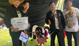 Domba PDP Presiden Raih Juara 1 Raja Kasep, Harganya Tembus Rp50 Juta Lebih