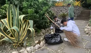 2 Pelaku Vandalisme Dihukum Bersih-bersih hingga Obati Tanaman Kaktus di Kebun Raya Bogor