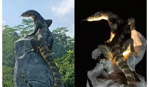 Tak Disangka, Ini Dia Sosok Kreatif di Balik Tugu Biawak di Wonosobo yang Viral