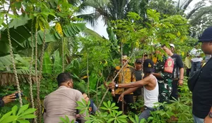 Penemuan Mayat Pria Misterius di Kebun Singkong Bikin Geger Warga Dramaga, yang Merasa Kehilangan Anggota Keluarga Diminta Segera Melapor