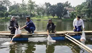 Ketua DPRD Bogor Tebar Bibit Ikan Nila di Situ Cibinong, Dukung Program Ketahanan Pangan