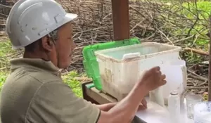 Cerita Sukses Nasrullah jadi Pengusaha Susu Kambing Perah di Depok, Dari Asongan hingga Mampu Layani Pelanggan di Jabodetabek