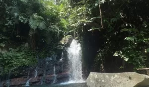Rekomendasi Curug Hidden Gem di Bogor: Surga Alam yang Masih Alami