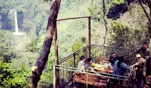 Butuh Healing? Ini Tempat Wisata Pasuruan yang Lagi Viral dan Instagramable