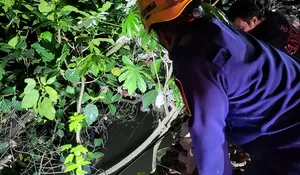 Kecelakaan di Sukaraja, Pengemudi dan Sepeda Motor Nyebur ke Sungai