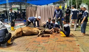 Panduan Lengkap Niat dan Doa Menyembelih Hewan Kurban untuk Diri Sendiri dan Orang Lain
