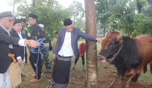 Pemkab Bogor Distribusikan 170 Ekor Hewan Kurban untuk Warga