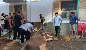 Konsisten Berkurban untuk Perkuat Tradisi dan Rasa Kemanusiaan