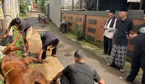 Terima 116 Hewan Kurban, NU Care dan Lazisnu Depok Salurkan untuk 2314 Mustahik di Delapan Lokasi