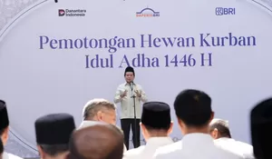 Idul Adha jadi Momentum, BRI Peduli Tingkatkan Produktivitas Peternak Domba di Desa BRILiaN Sukalaksana Garut