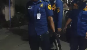 Tengah Malam, Warga Pakansari Panik Ular Besar Muncul di Halaman Rumah, Panjangnya Sampai Tiga Meter