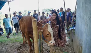 Anggota DPRD Rezky Kartika Rayakan Idul Adha Bareng Warga Cipaku Bogor, Sumbang Seekor Sapi Kurban