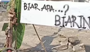 Viral Jalan Abdul Fatah Ciampea Ditanami Pohon Pisang, Bupati Bogor: Kita Perbaiki Tahun Ini