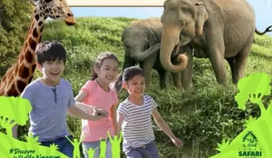 Bikin Liburan Makin Seru! Taman Safari Bogor Hadirkan Promo Early Bird Hanya Rp175 Ribu