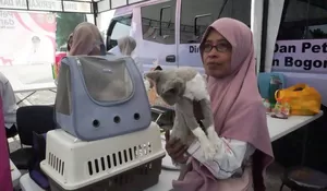 Ada Vaksinasi dan Layanan Kesehatan Hewan Gratis di Kabogorfest 2025, Bisa Konsultasi Juga Seputar Peliharaan