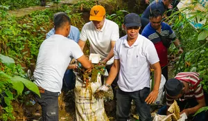 Dedeuh Ka Lembur, Jadi Jurus Jitu Kota Bogor Menata dan Menjaga Lingkungan