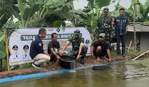 Perdana! Dandim Tebar 200 Ribu Bibit Ikan Lele di Desa Babakan Bogor, Dukung Program Sejahterakan Masyarakat