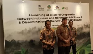 Hashim Tegaskan Pemerintah Dukung Gerakan Tanam Bambu : Punya Manfaat Ekologis dan Ekonomis