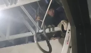 Parungpanjang Banjir Melulu, Ular Sanca hingga King Kobra pun Sering Muncul ke Pemukiman Warga