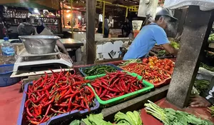 Harga Cabai hingga Bawang di Pasar Cibinong Sempat Melonjak, Kini Berangsur Normal