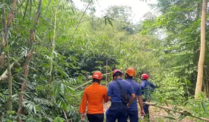 Bikin Resah Warga Kemang, Kawanan Monyet Masuk Permukiman Warga