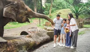 School Holiday Package, Liburan Edukatif nan Seru di Royal Safari Garden Puncak