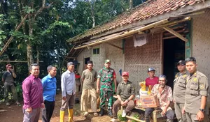 Pohon Nangka Setinggi 15 Meter Tumbang Timpa Rumah di Cijeruk Bogor, Kerusakan Bakal Diperbaiki Lewat Dana Desa