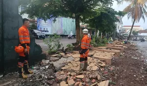 Tembok MAN 1 Kota Bogor Sepanjang 30 Meter Tiba-tiba Ambruk, Ini Dugaan Penyebabnya