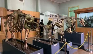 7 Rekomendasi Museum di Bogor, Seru untuk Anak dan Keluarga
