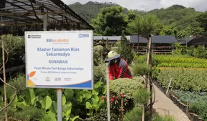 Perkuat Ekonomi Kerakyatan, BRI Berdayakan 41 ribu Klaster Usaha melalui Pembiayaan dan Literasi Keuangan