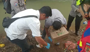 Miris! Mayat Bayi Perempuan Ditemukan Tersangkut di Kali Ciluar Bogor, Kelurahan Bakal Cek CCTV Cari Pelaku