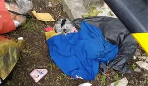 Bayi Perempuan Dibuang dalam Kresek Hitam di Pinggir Jalan, Kondisinya Masih Hidup