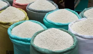 Belum Ada Temuan Beras Oplosan di Pasar Cibinong, Tapi Kualitas Dikeluhkan Menurun