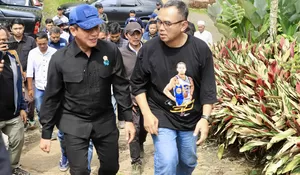 Pemkab Bogor Tegaskan Tak Pernah Keluarkan Izin Temlat Usaha KSO PTPN di Puncak Bogor