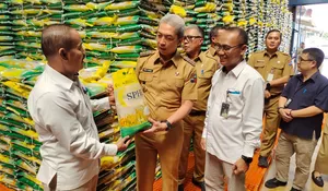 Dedie Rachim Sidak ke Gudang Bulog Dramaga, Pastikan Stok Beras Aman Hingga 6 Bulan