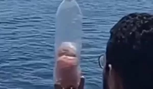 Viral Warga Mesir Isi Botol dengan Makanan untuk Gaza Lewat Laut, Bikin Netizen Menangis