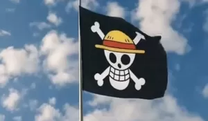 Kibarkan Bendera One Piece saat HUT RI ke-80, Menkopolhukam : Bisa Dipidana
