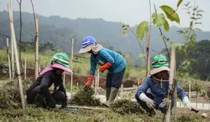 EIGER Adventure Land Janjikan Destinasi Ekowisata Berkelanjutan di Bogor