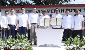 Dukung Program Sapi Merah Putih, BRI Dorong Swasembada Pangan Nasional