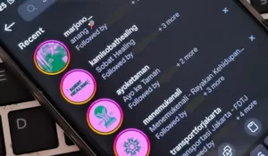 Menguak Arti Tren Profil Pink Hijau dan 17+8 yang Ramai di Media Sosial