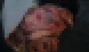 Polisi Selidiki Kasus Misteri Kiriman Paket Kepala Babi ke Konten Kreator di Bogor