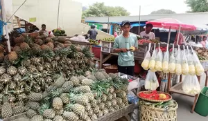 Manfaatkan KUR BRI, Pedagang Nanas Ini Sukses Kembangkan Produk Olahan yang Diminati Pasar