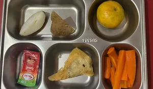 Menu MBG di SDN Mampang 1 Depok Viral, Ternyata Ini Isi Pangsit Gorengnya